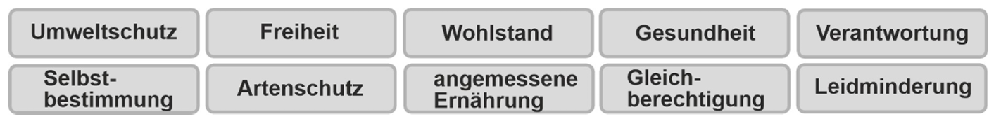 Graue Kacheln mit Stichwörtern zu Werten: Umweltschutz, Freiheit, Gesundheit, Verantwortung, Selbstbestimmung, Gleichberechtigung
